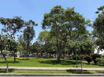 Casa de 4 habitaciones, Lima · Excelente Casa Frente a Parque, Lindo Jardin