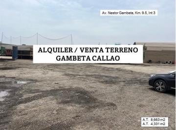 Terreno / Lote · 4331m² · Terreno Cercado - Venta/alquiler - Gambeta Km 9.5 - Callao At. 8,663 - At. 4,331 m²
