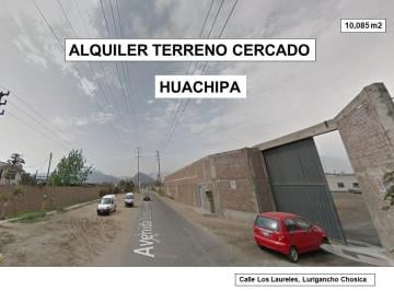 Terreno / Lote · 10085m² · Alquiler Terreno Cercado - Los Laureles - Huachipa - 10,085 m²