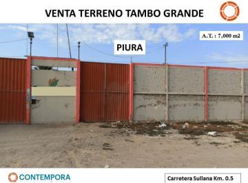 Terreno / Lote · 7000m² · Venta Terreno Tambogrande - Carretera Sullana Km. 0.5 - Piura