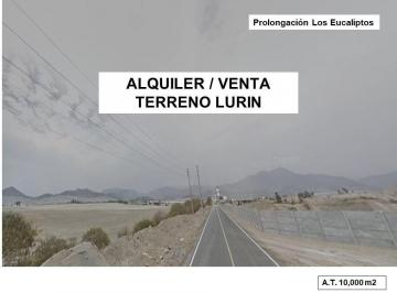 Terreno / Lote · 25600m² · Alquiler /venta Terreno Industrial Prolongacion Los Eucaliptos - Lurin - 25,600 m²