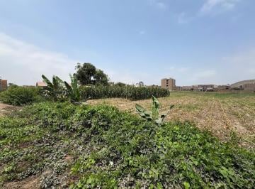 Terreno / Lote · 10000m² · Vendo Terreno Residencial en Av Sta. Maria, Carabayllo (Por El Colegio I. E. P. School King)