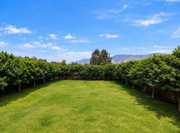 Terreno / Lote · 1080m² · Terreno - Cañete