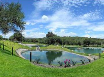 Terreno / Lote , San Miguel de Allende · Lote en Venta Fraccionamiento Hacienda La Presita