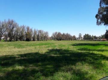 Terreno / Lote · 18360m² · Venta Terreno Teoloyucan de Remax Platino - (4)