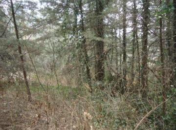 Terreno / Lote · 3728m² · Terreno en Venta en Loma Tlalmimilolpa - (4)