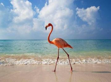 Terreno / Lote , Hunucmá · Terrenos de Inversión en Las Playas de Yucatán Desde $298,000
