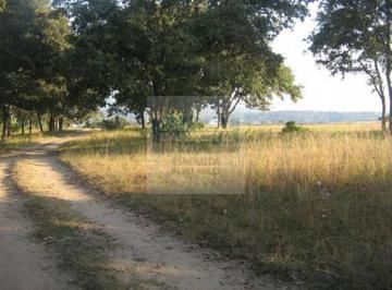Terreno / Lote · 49782m² · Venta de Terreno en Fincas de Sayavedra
