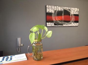 Oficina , Guadalajara · Renta de Oficinas en Av Guadalupe