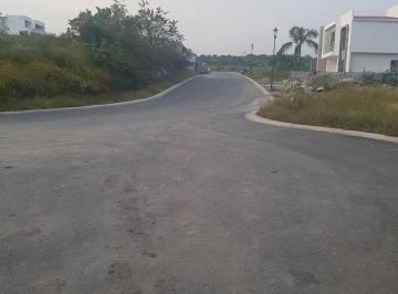 Terreno / Lote · 82000m² · Terreno en Venta a 30 Min de Lomas de Cocoyoc, Cuatla, Morelos - (4)