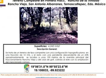 Terreno comercial , Temascaltepec · Se Vende Terreno Tipo Campestre