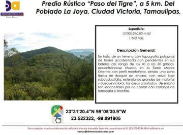 Terreno comercial , Victoria · Se Vende Terreno Rustico