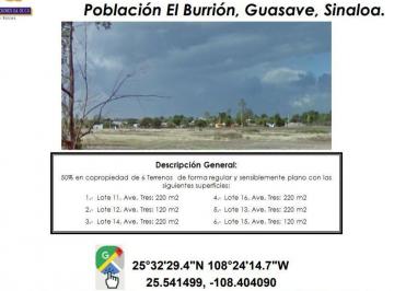 Terreno / Lote , Guasave · Se Venden 6 Terrenos / Copropiedad 50%