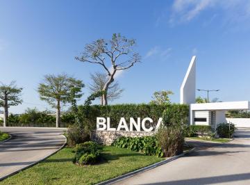 Terreno / Lote · 420m² · Terrenos Residenciales en Venta en Blanca, Privada de Lujo en Mérida, Yucatán - (4)