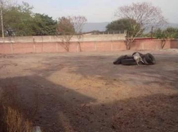 Terreno / Lote , Jojutla · Terreno en Renta Sobre Carretera Galeana a Tehuixtla 1,800 m²