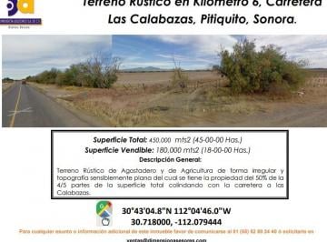 Terreno / Lote , Pitiquito · Se Vende Terreno Rustico / Copropiedad 4/10 Partes