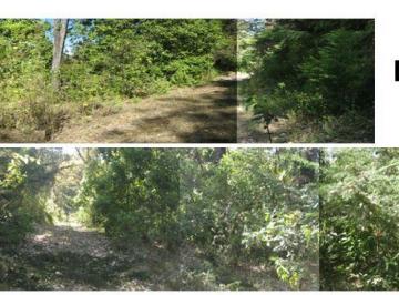 Terreno / Lote , Zitácuaro · Se Venden Dos Terrenos Fracc. Campestre