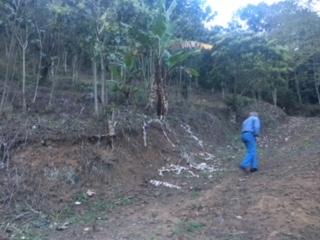 Terreno / Lote · 3100m² · Terreno en Venta Km 4 Carr Xalapa a Coatepec 3,100 m
