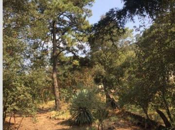 Terreno / Lote · 83816m² · Terreno en Venta en Héroes de 1910 (Rtv) - (4)