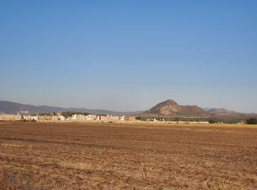 Terreno / Lote , Epazoyucan · Venta Terreno Plano 3has Cerca de Pachuca Desarr. Habitacional Carr Cd Sahagun