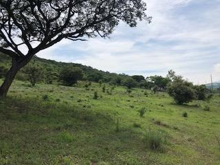 Terreno / Lote , Acatlán de Juárez · Terreno Frente de Carretera 300 m², Acatlan de Juarez Carr. Colima.