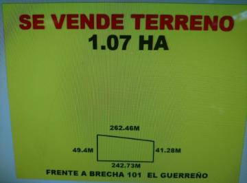 Terreno / Lote , Reynosa · Vendo Hectáreas en Diferentes Ubicaciones y Puente de Pharr