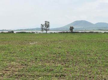 Terreno / Lote de 1 habitación, Tala · Venta de Terreno en La Presa Valencia