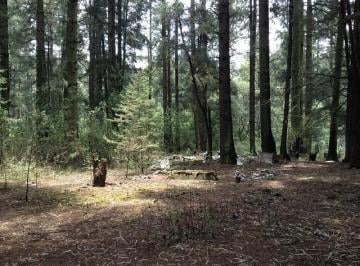 Terreno / Lote , Ocoyoacac · Terreno Rustico con Cabañas con Frente a Carretera de Cuota a Toluca