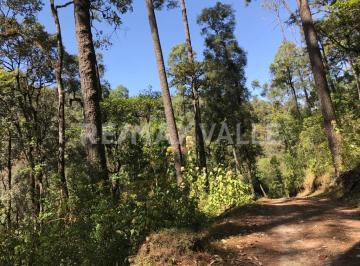 Terreno / Lote · 5000m² · Terreno en Venta. - (4)