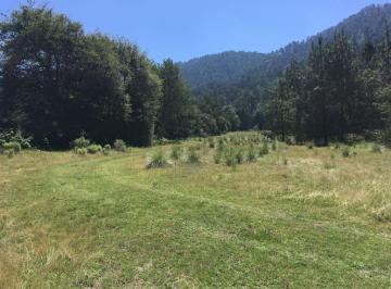 Terreno / Lote · 52135m² · Terreno en Venta - 4
