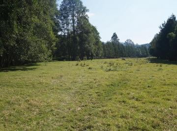 Rancho · 270000m² · 1 Recámara · Finca/rancho en Venta - 4