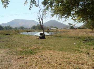 Terreno / Lote · 18190m² · Terreno Urbano en Atlacholoaya Xochitepec - Ari - 306 - Tu