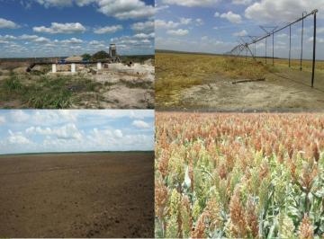Rancho · 1 Recámara · Rancho en Venta 3,250 Hectáreas de Uso Agrícola, Oxcutzcáb, Yucatán - (4)