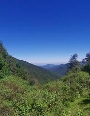 Terreno comercial · 290000m² · Terreno Comercial en Venta - (4)