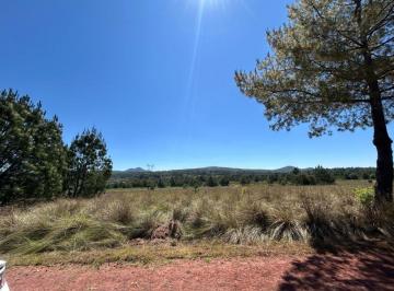 Terreno / Lote , Tapalpa · Terrenos en Venta "Los Reflejos" en Tapalpa, Jalisco