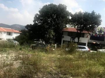Terreno / Lote · 630m² · Terreno - Prado Largo