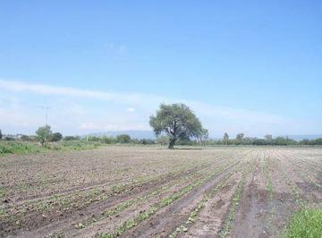 Terreno / Lote · 14000m² · Bonita Parcela a Pie de Carretera.