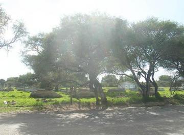 Terreno / Lote · 3174m² · Excelente Terreno Sobre Calle Principal.