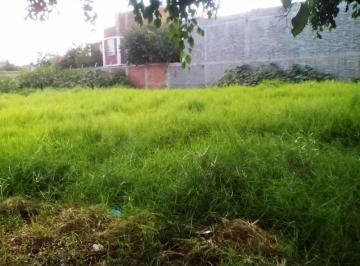 Terreno / Lote · 206m² · Lote Residencial en Esquina, Cartagena Esq. Galeana, Camelinas, Zamora