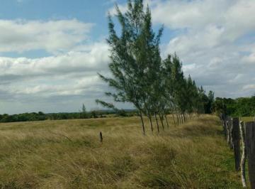 Terreno / Lote · 111400m² · Terreno en Venta de 11.14 Ha en La Carretera a Alvarado