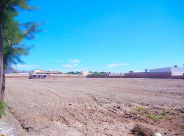 Terreno comercial , Zapopan · Mega Oportunidad: Terreno de 14,230 m² en El Corazón de Tesistán (Uso Mixto). ¡8% Bajo Valor de Mer