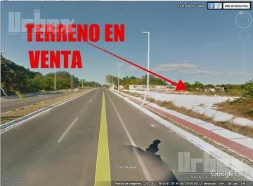 Terreno / Lote · 12924m² · Vendo Terreno en Av Benito Juarez, Campeche