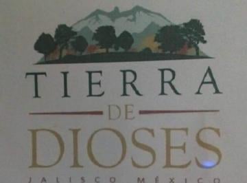 Terreno / Lote · 1855m² · Terreno en Venta - (4)