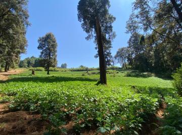 Terreno / Lote · 70000m² · Terreno en Venta - (4)