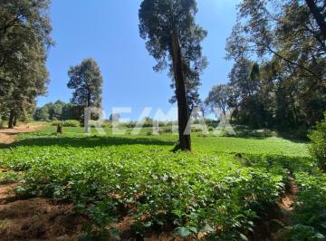 Terreno / Lote · 70000m² · Terreno en Venta - (4)