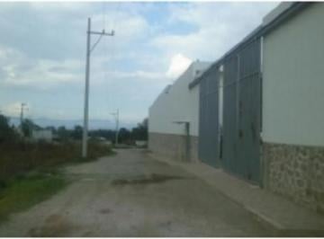 Bodega-Galpón · Sensacional Nave Nueva Cerca de Planta Automotriz Audi - (4)