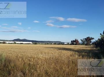 Terreno / Lote · 80000m² · Terreno, El Cerrito, Zempoala Hidalgo