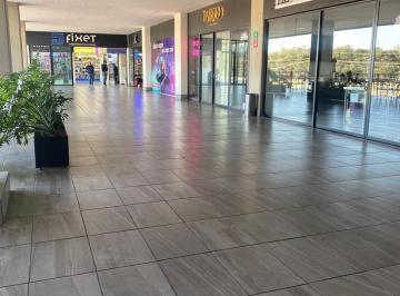 Local comercial , Zapopan · Local Comercial en Renta en Planta Alta Primer Nivel Zapopan Jalisco