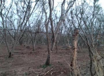 Terreno / Lote , Zacualpan · Fabuloso Terreno en Zacualpan Venta