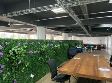Oficina , Miguel Hidalgo · Renta Oficinas en Anzures y Llevate Gratis El Primer Mes!